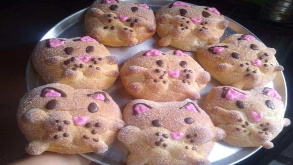 Llega el "michimuerto", pan de muerto para los amantes de los gatos (Fotos)