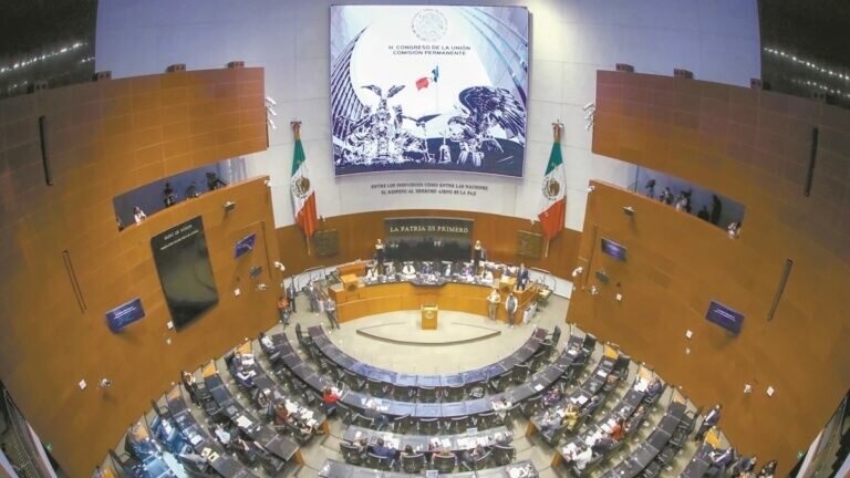 Ahora el dictamen será sometido al Pleno del Senado y de aprobarse la consulta se hará en 2022.