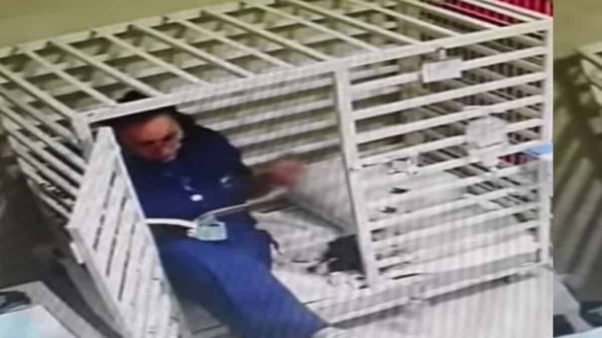 El momento fue captado por una cámara de seguridad y viralizado en redes sociales.