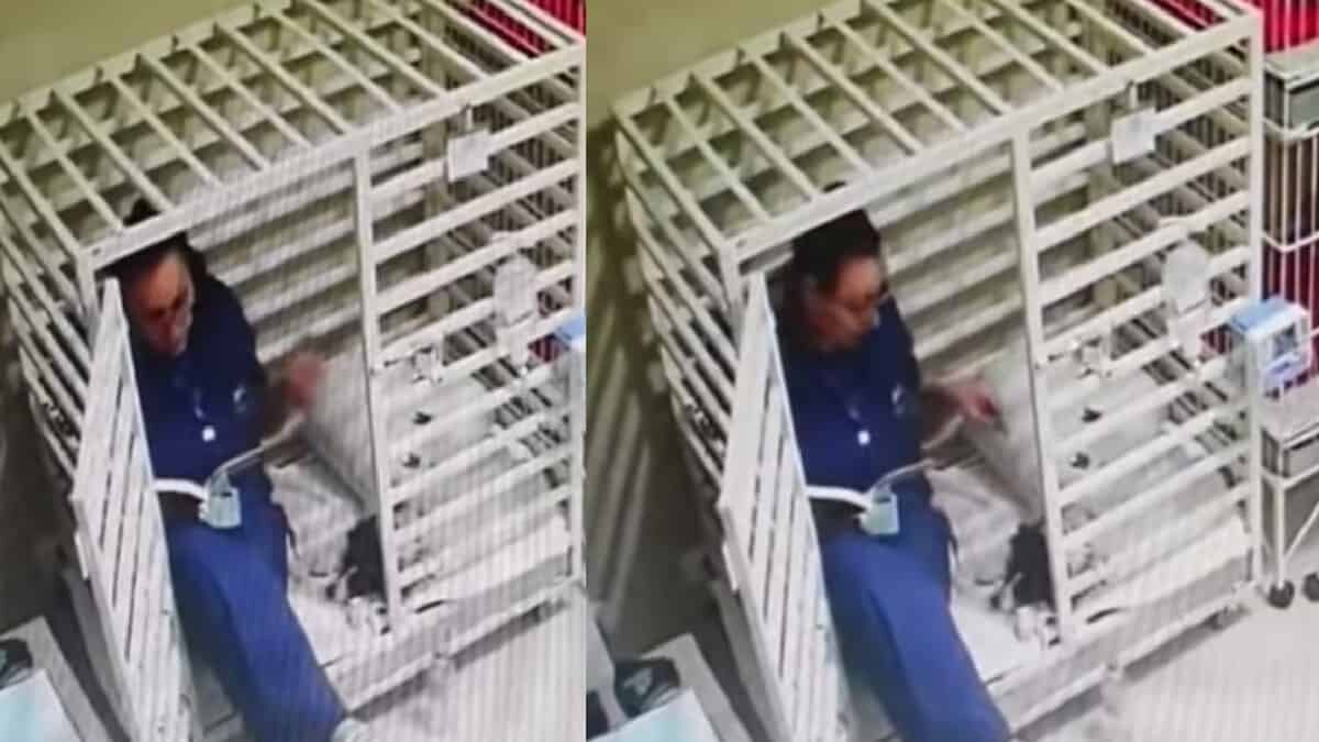 El momento fue captado por una cámara de seguridad y viralizado en redes sociales.