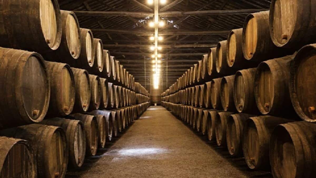 El vino es de las bebidas más refinadas que pueden existir. Aquí te decimos la forma correcta de beberlo.