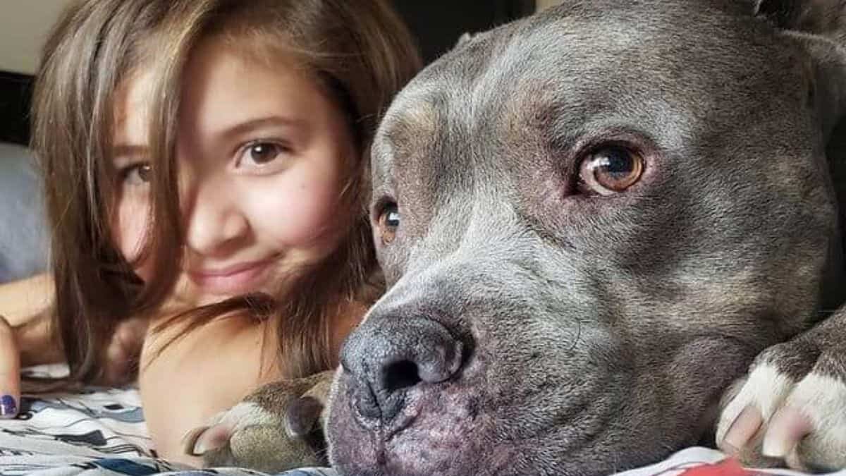 ¡Inseparables! Perrito no puede dormir sin su hermana al lado (Video)