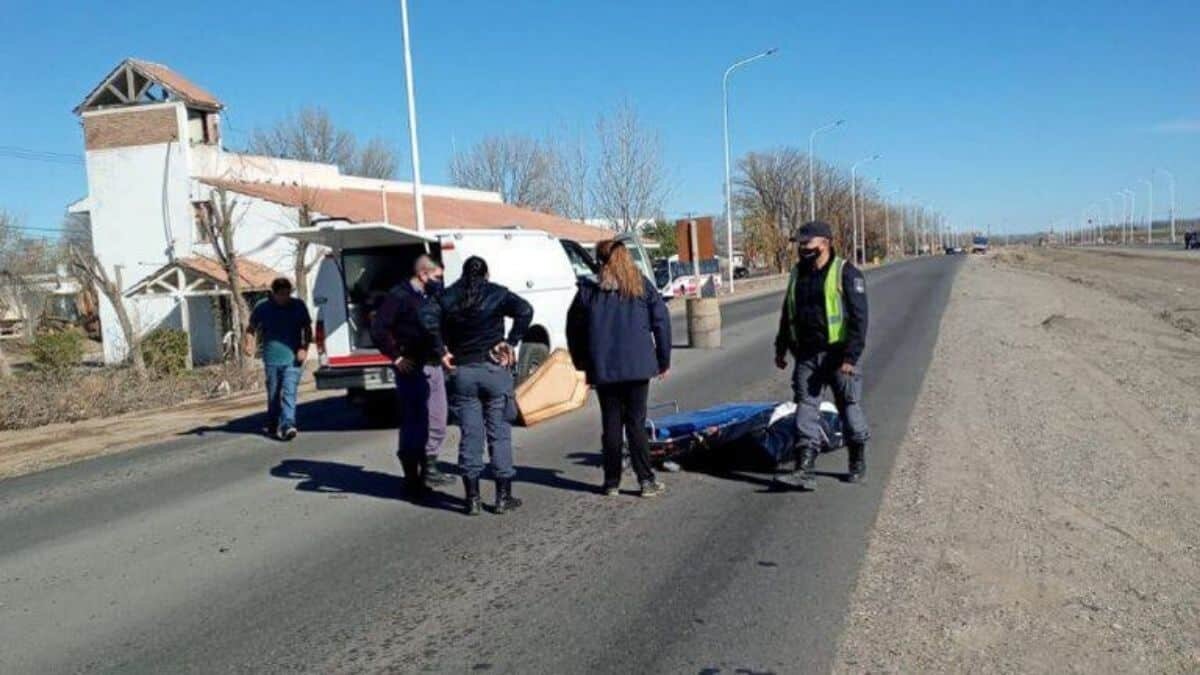 ¡Patitas para que las quiero! Ataúd queda en medio de la carretera