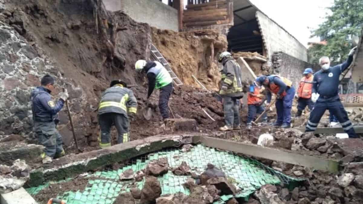 Salinas Pliego se une a reconstrucción de albergue canino en Xochimilco