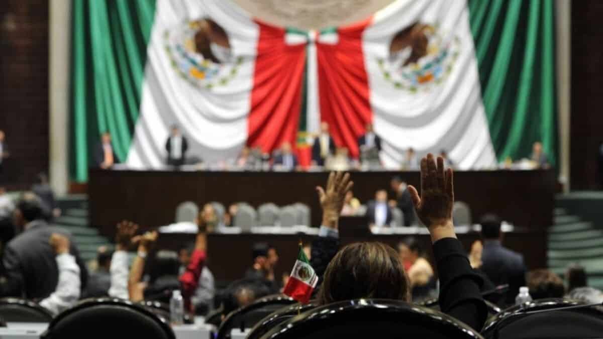 Estas son las estrellas de San Lázaro; hay desde cantantes hasta deportistas