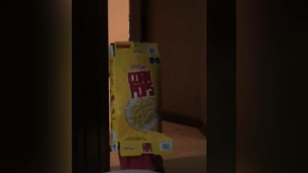Mete niño la cabeza en caja de cereal y se atora (Video)