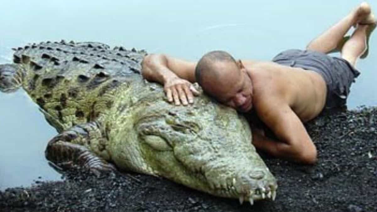 Comparten amistad por más de 20 años, hombre y cocodrilo