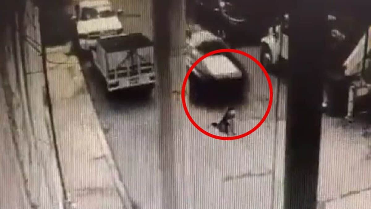 Denuncian a policías por atropellar a un perrito en Edomex (Video)