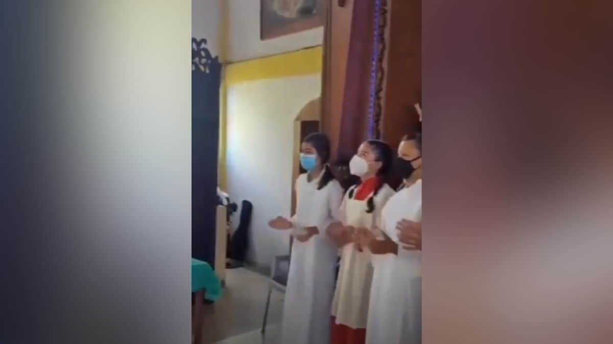 Cantan para ahuyentar a lechuza, pero ella baila al ritmo de la música
