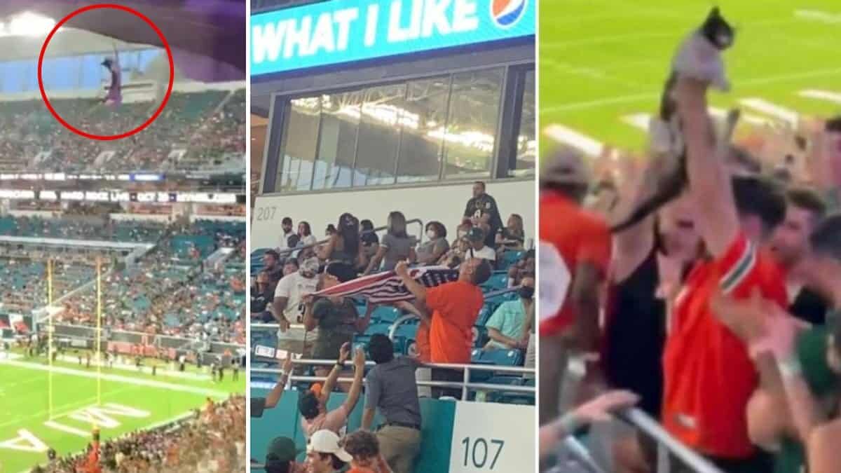 Salvan aficionados a gatito de una caída en pleno partido (Video)