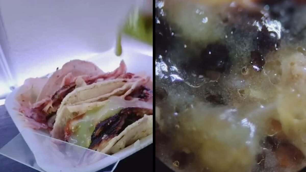 Ponen taco callejero bajo un microscopio y ya no los verás igual (Video)