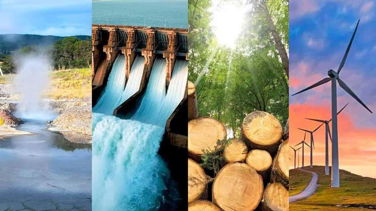 Energías renovables generan 12 millones de empleos
