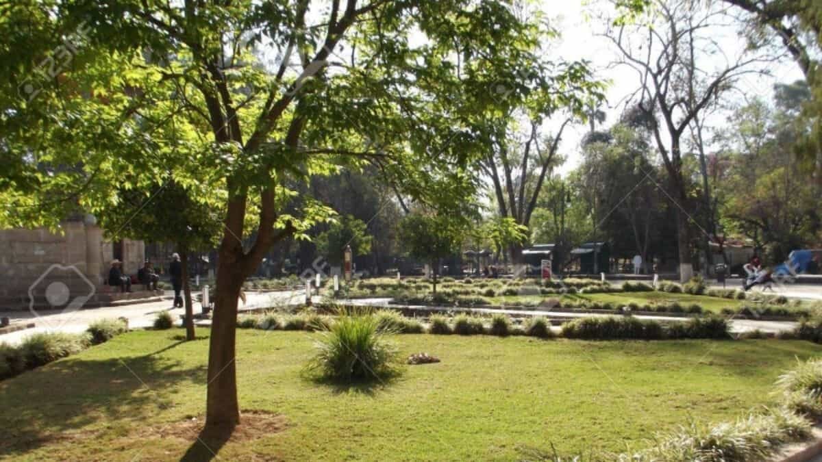 Estos son los 10 parques que debes visitar en la Cuauhtémoc