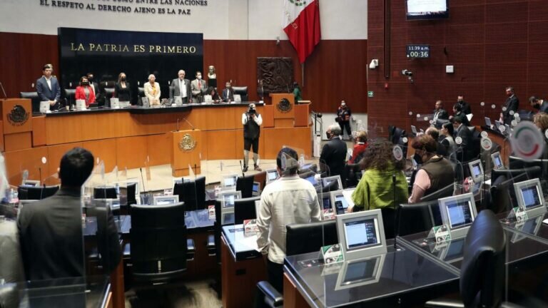 Senado Legalización Cannabis Informe Exprés