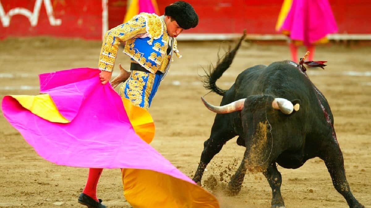 Avanza en comisiones prohibición de corridas de toros en CDMX (Video)