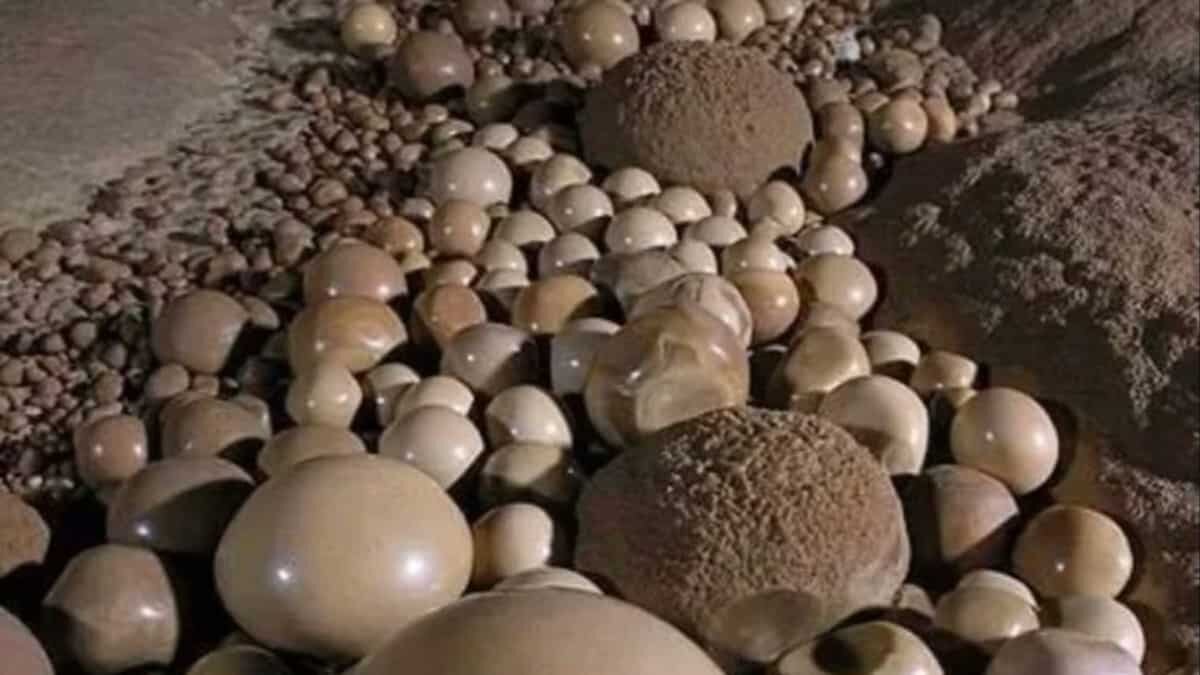 Descubre la Gruta de las Canicas, la cual se encuentra en las extrañas de la selva de Tabasco.