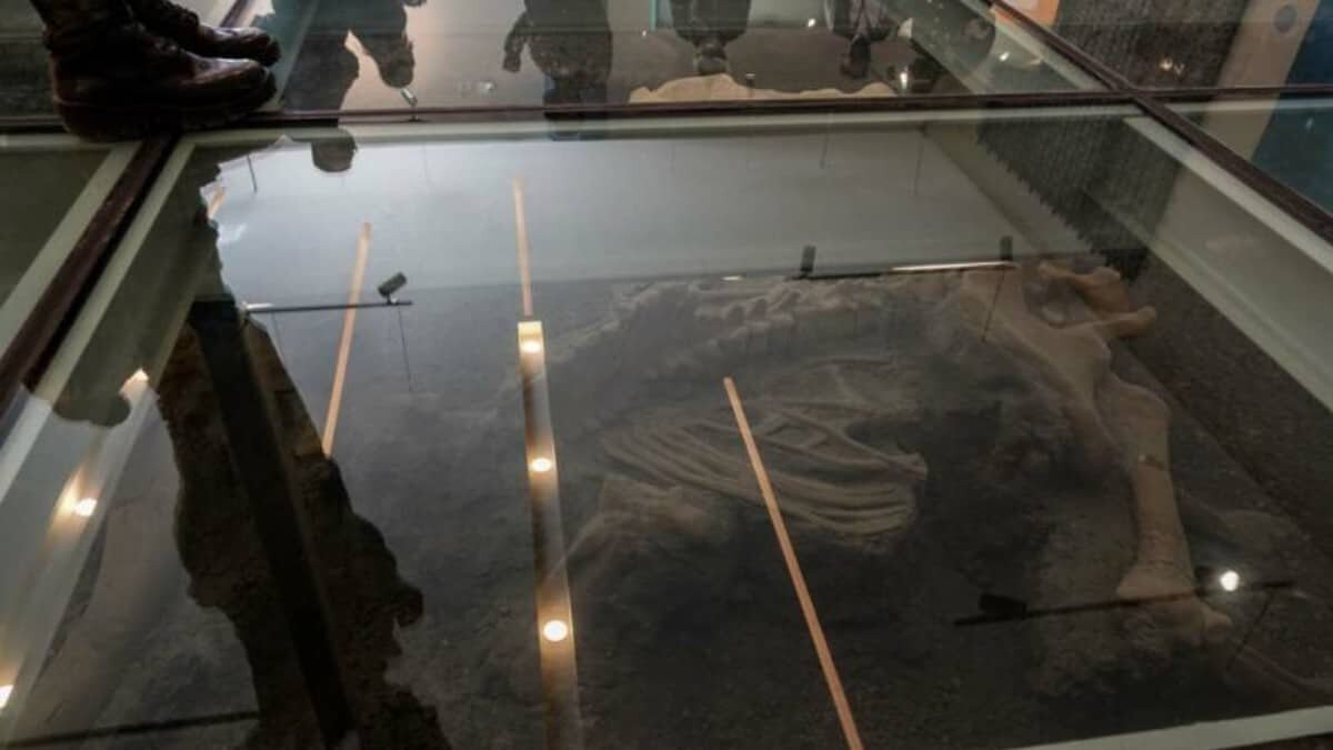 El Museo del Mamut será uno de los atractivos del nuevo aeropuerto que será inaugurado