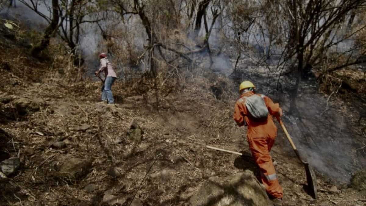 Denuncian a responsable del incendio en el Tepozteco