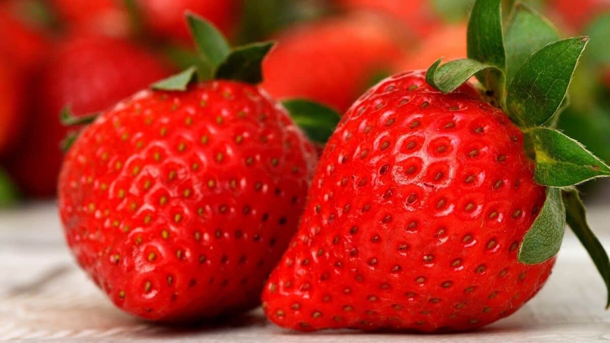 Prepara delicioso postre de fresas con solo 3 ingredientes