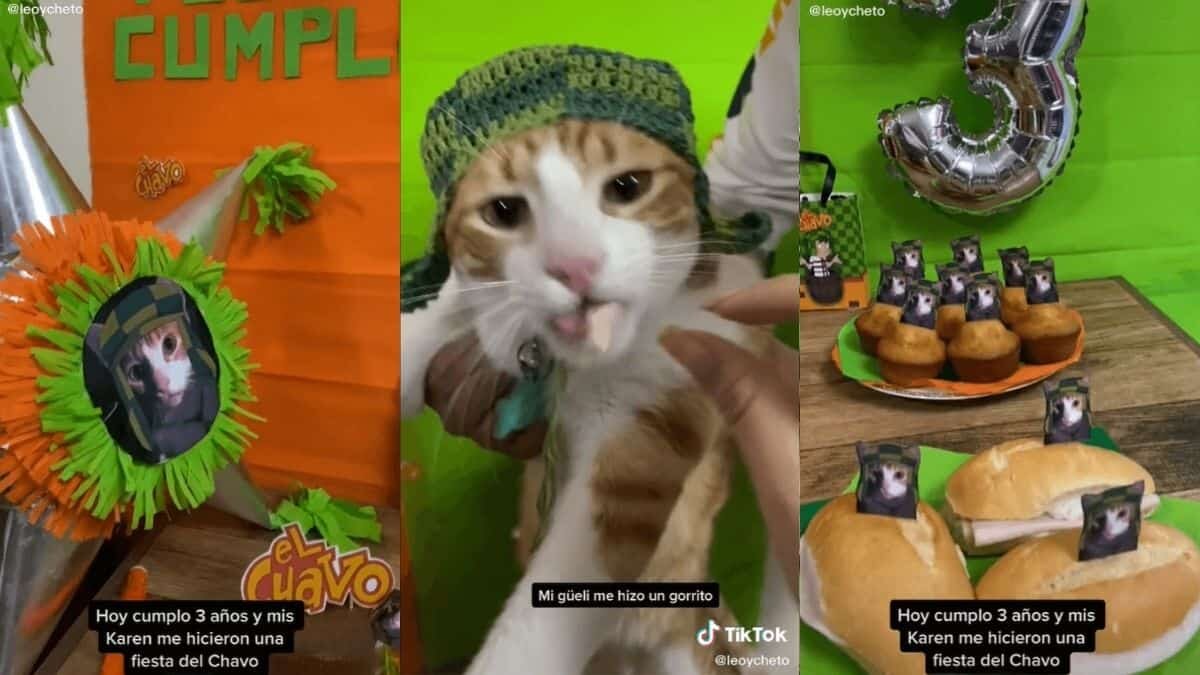 Arman fiesta de cumpleaños para gatito con temática de ‘El Chavo del 8’ (Video)