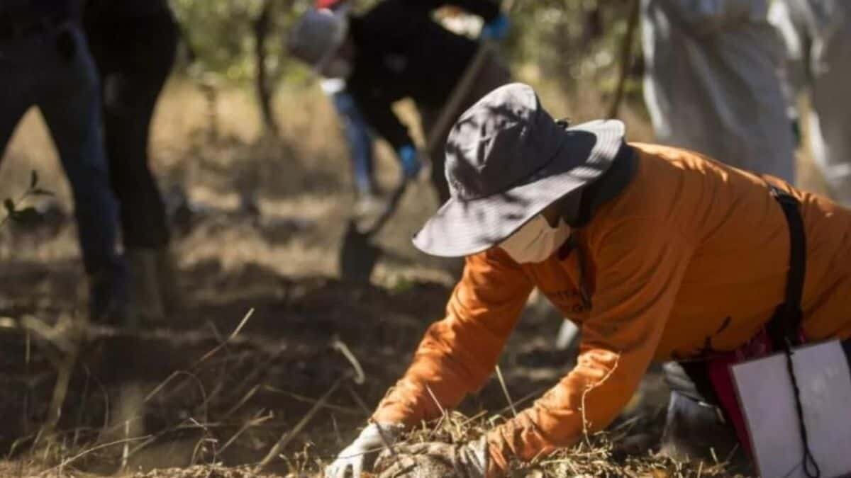 Avalan creación del Centro Nacional de Identificación Humana