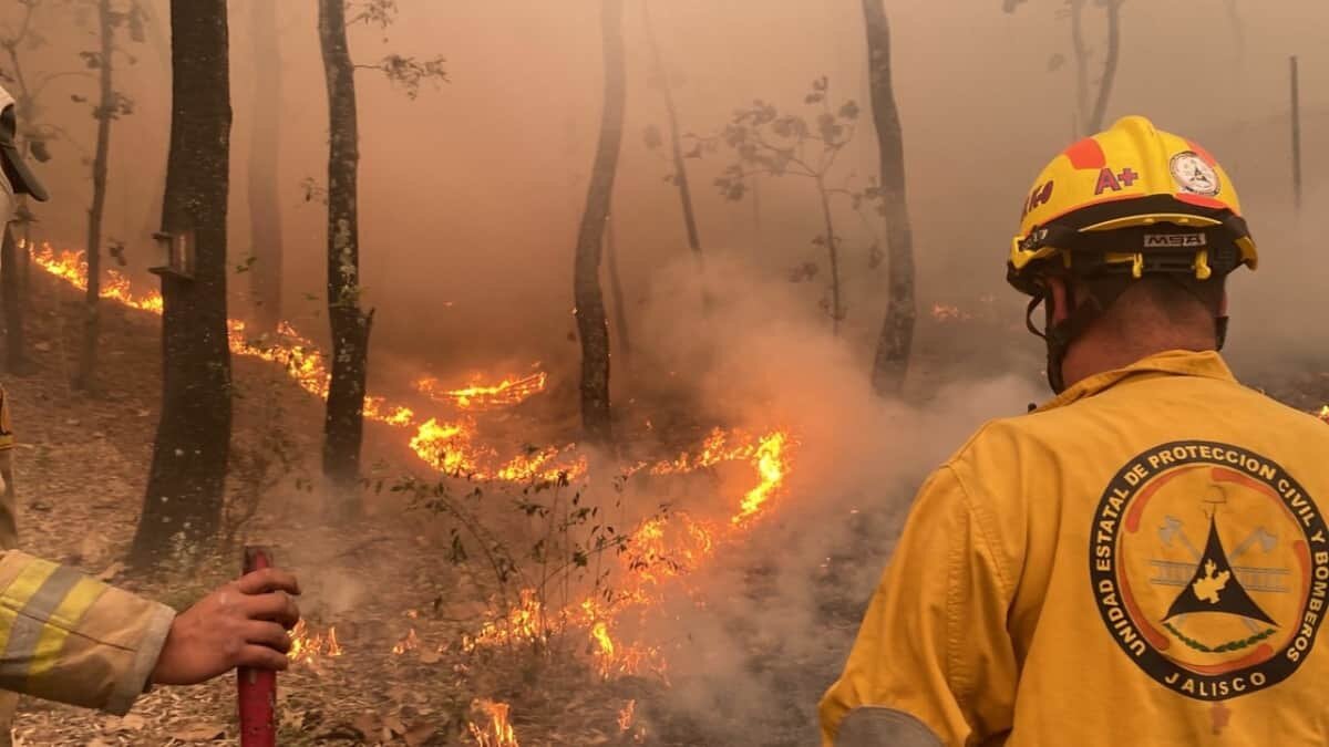 Incendio forestal