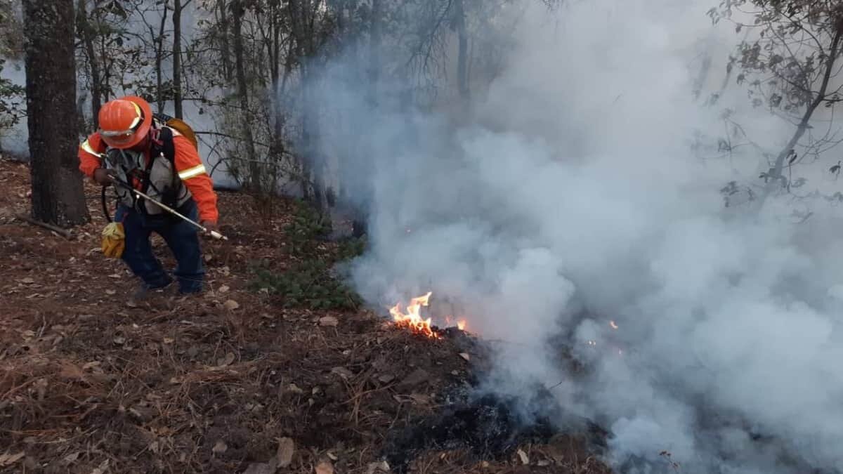 Incendio forestal