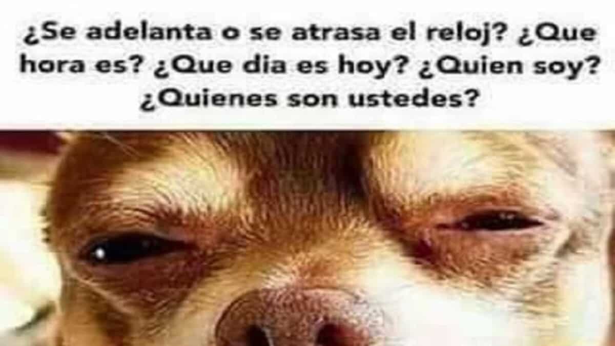 Meme horario de verano