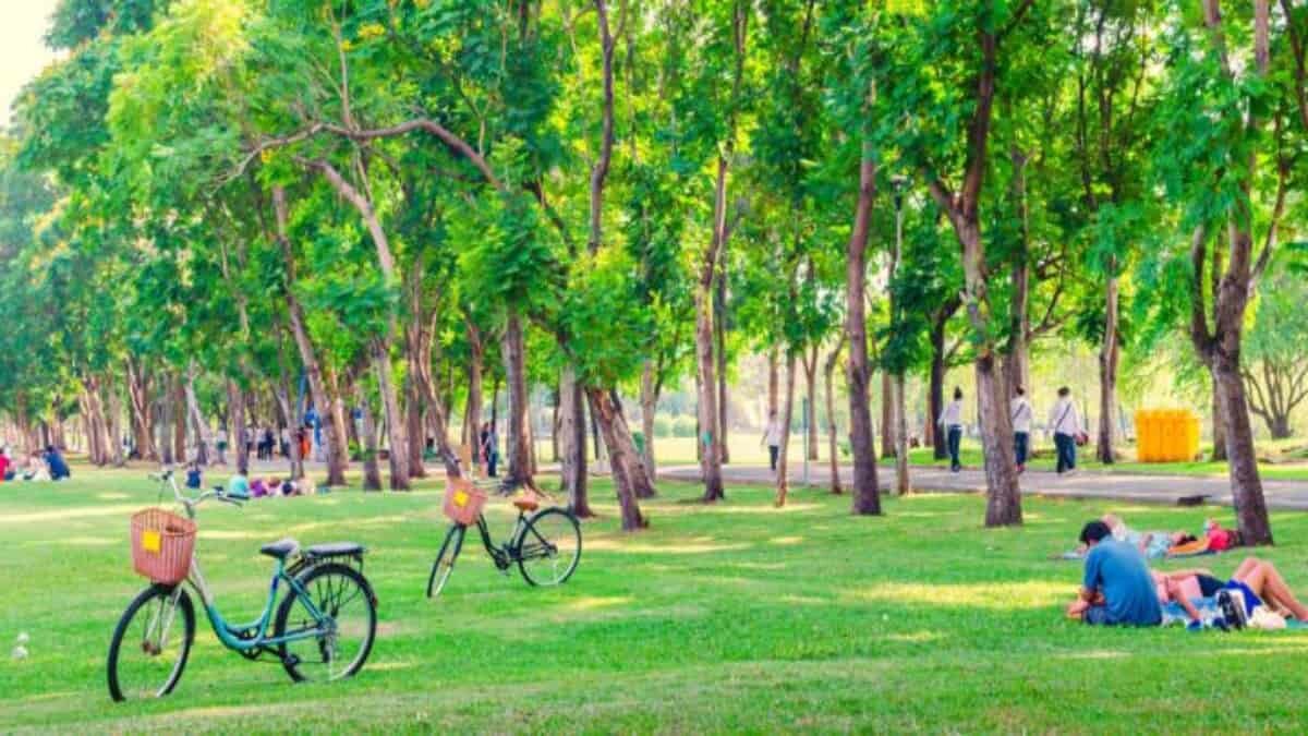 5 parques para festejar este Día del Niño