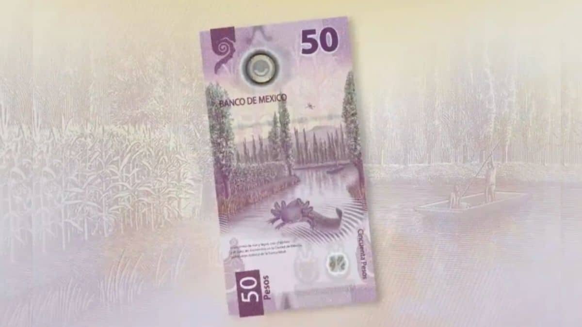 ¡Todos lo aman! Imprimen billete de 50 pesos en tazas y cobijas