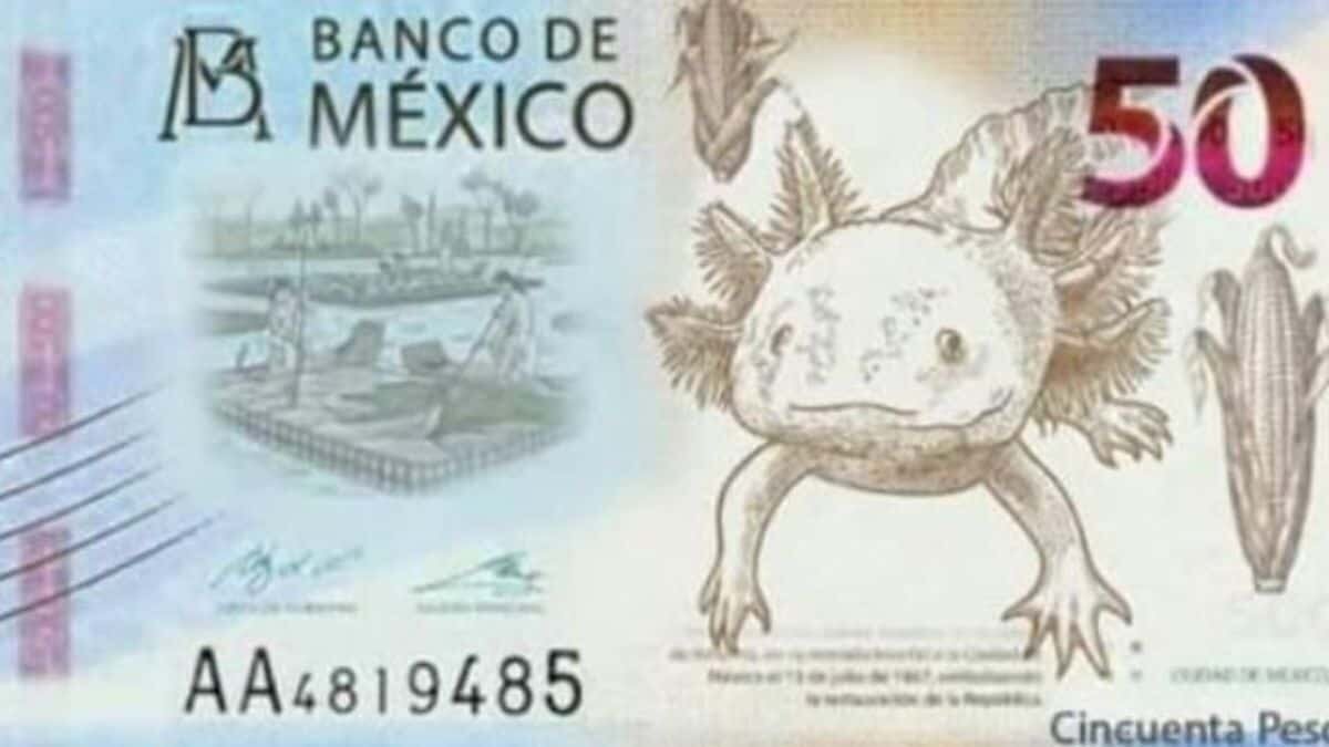 ¡Todos lo aman! Imprimen billete de 50 pesos en tazas y cobijas