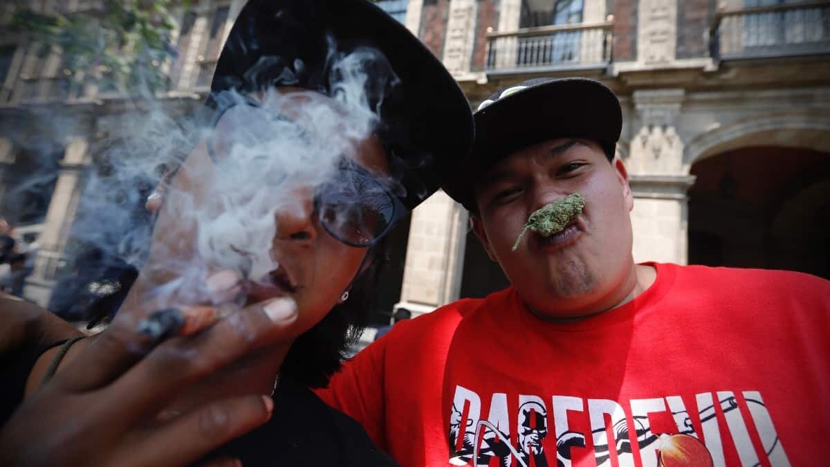 Cientos marcharon en la CDMX para exigir la legalización y regularización del cannabis.