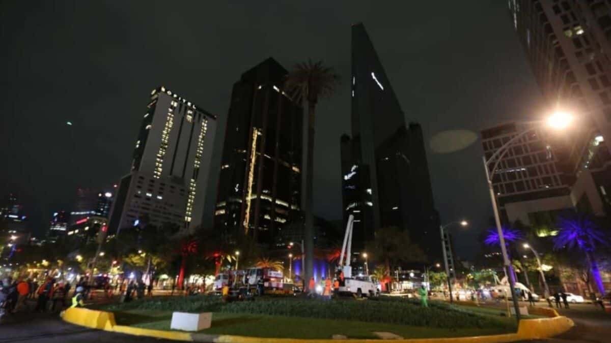 ¡Adiós vaquera! Retiran palma de Paseo de Reforma