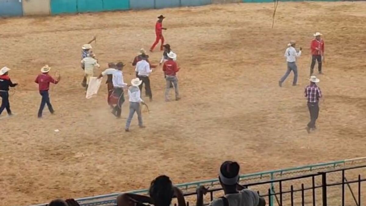 Indigna a animalistas rodeo de gatos en Cuba (Video)