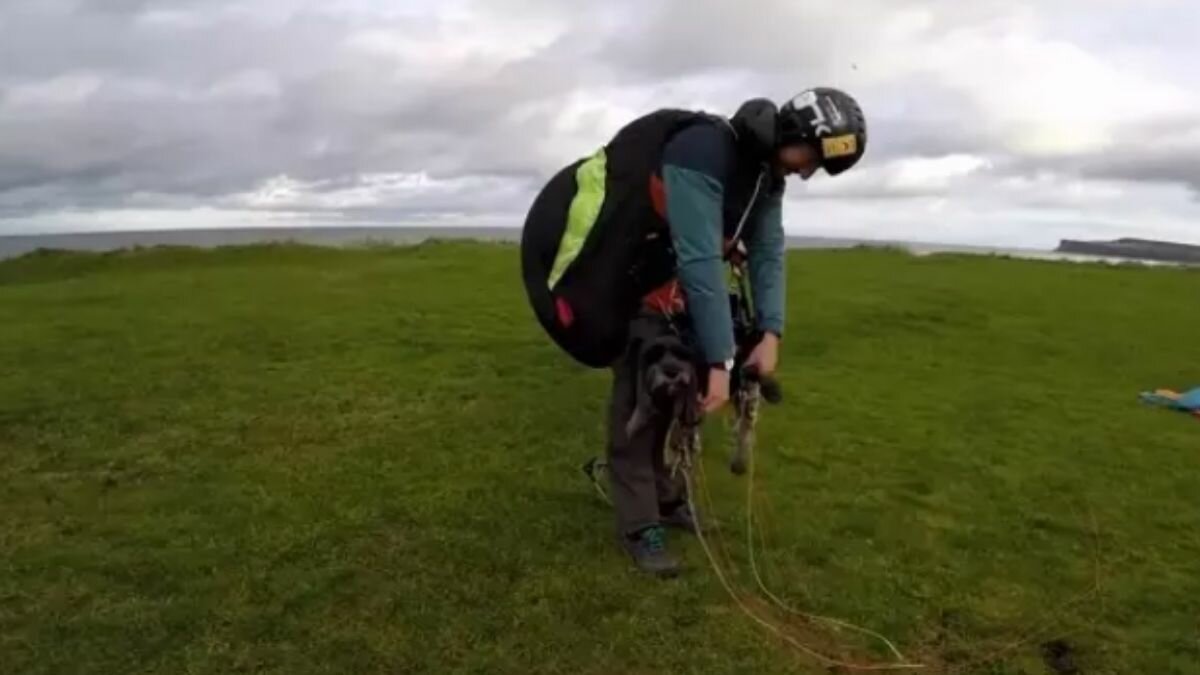 Te presentamos a Stan, el perro volador (Video)