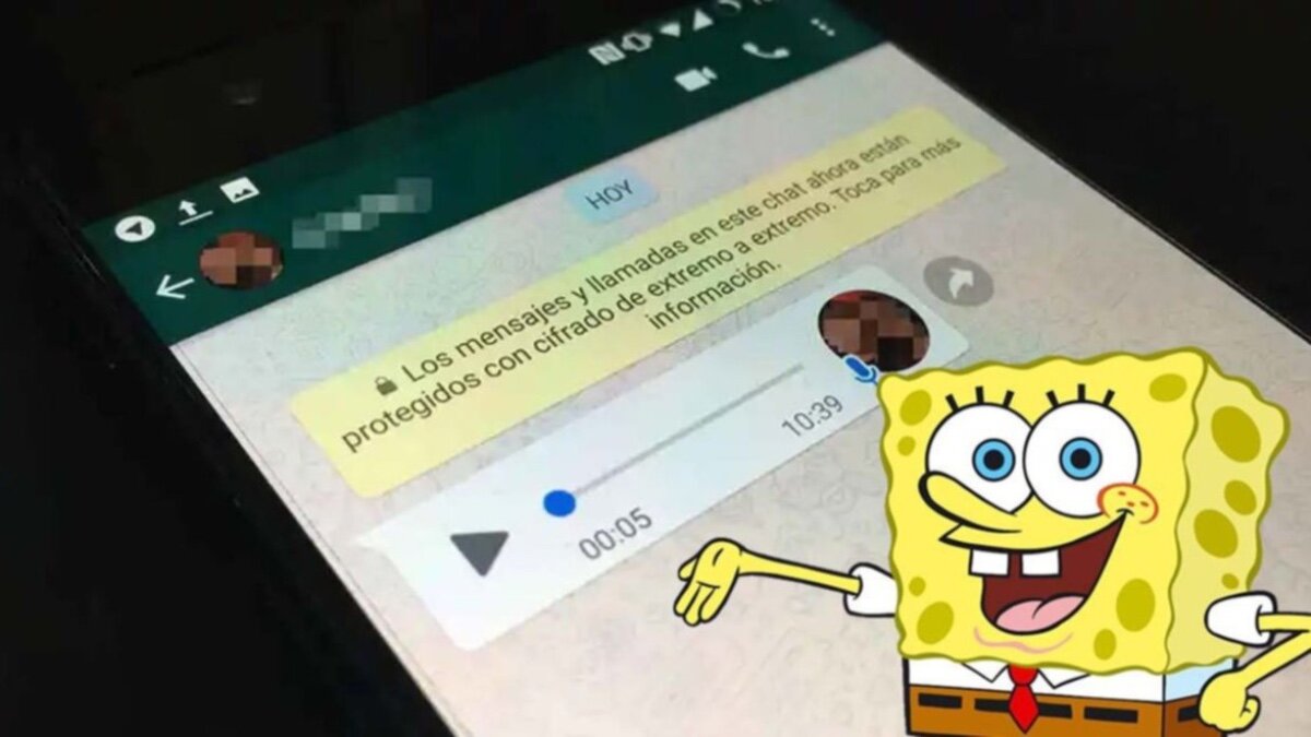 Bob Esponja WhatsApp