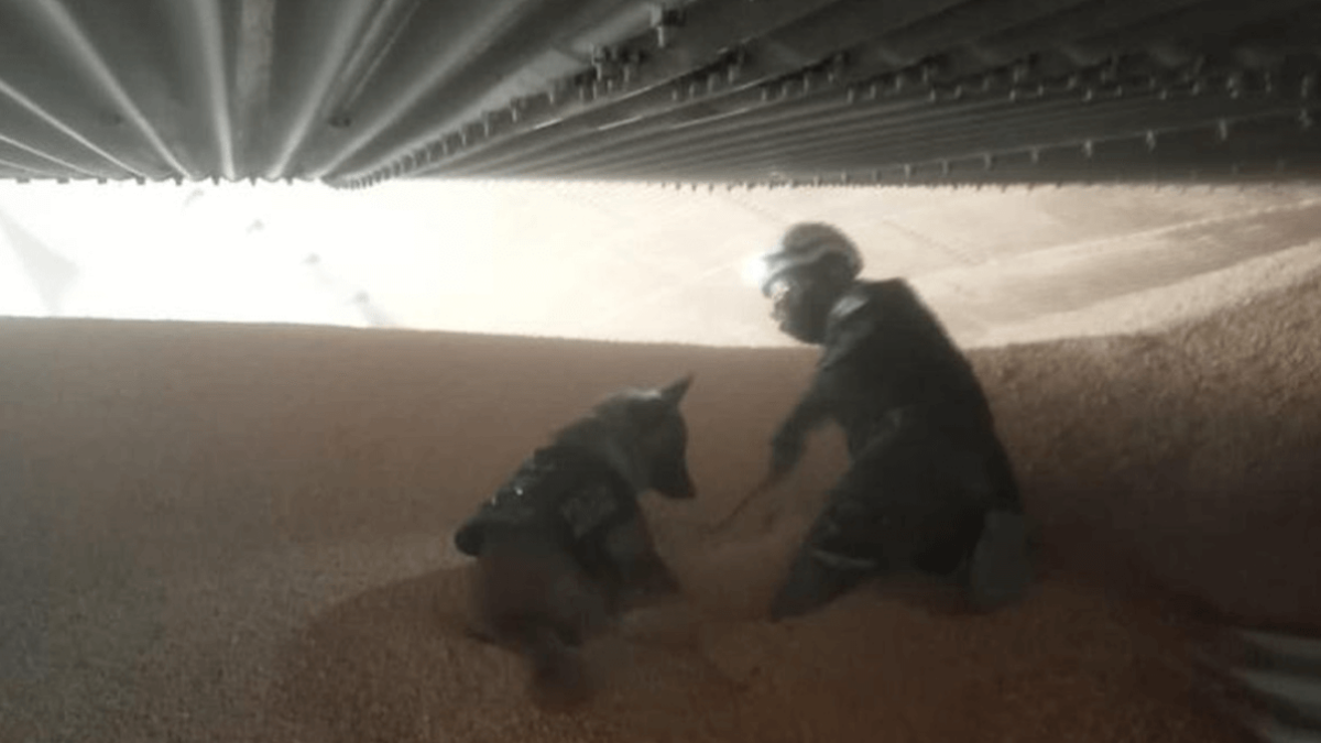 Silo colapsa en Torreón y sepulta a trabajadores