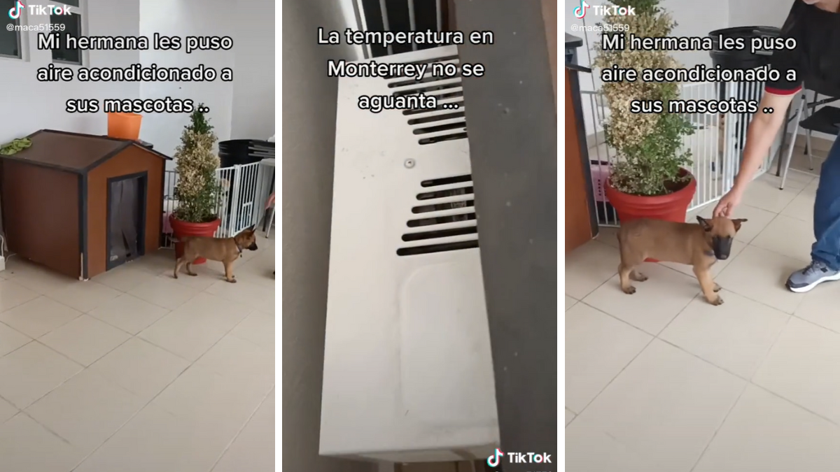 casita de perritos con aire acondicionado