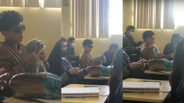 Estudiante lleva a su perrita a clases para no dejarla sola