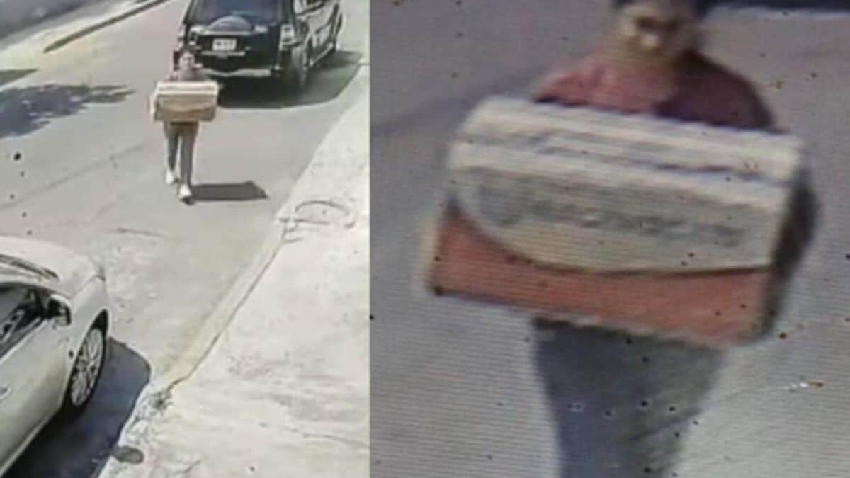 Buscan a cruel mujer que abandonó a perritos dentro de una caja (Video)