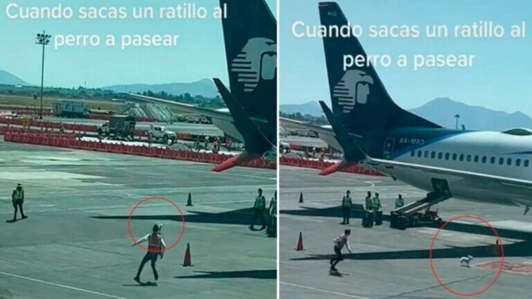 Arma perrito persecución en pista de aterrizaje (Video)