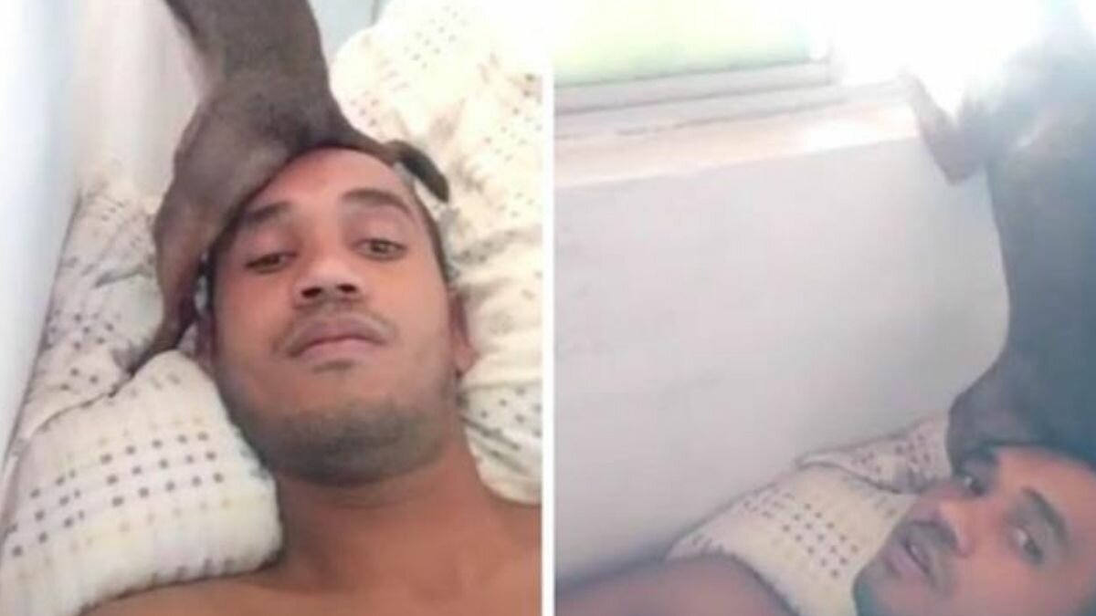 ¡Chismoso! Hace perrito de todo para ver por la ventana (Video)