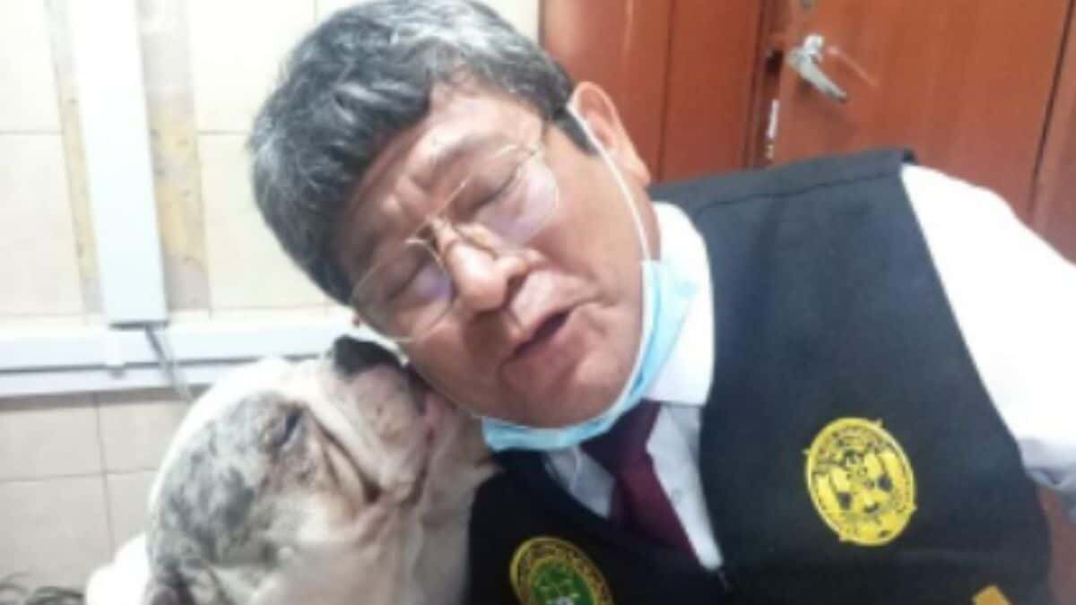 Nombran policía a perrito que sufrió maltrato