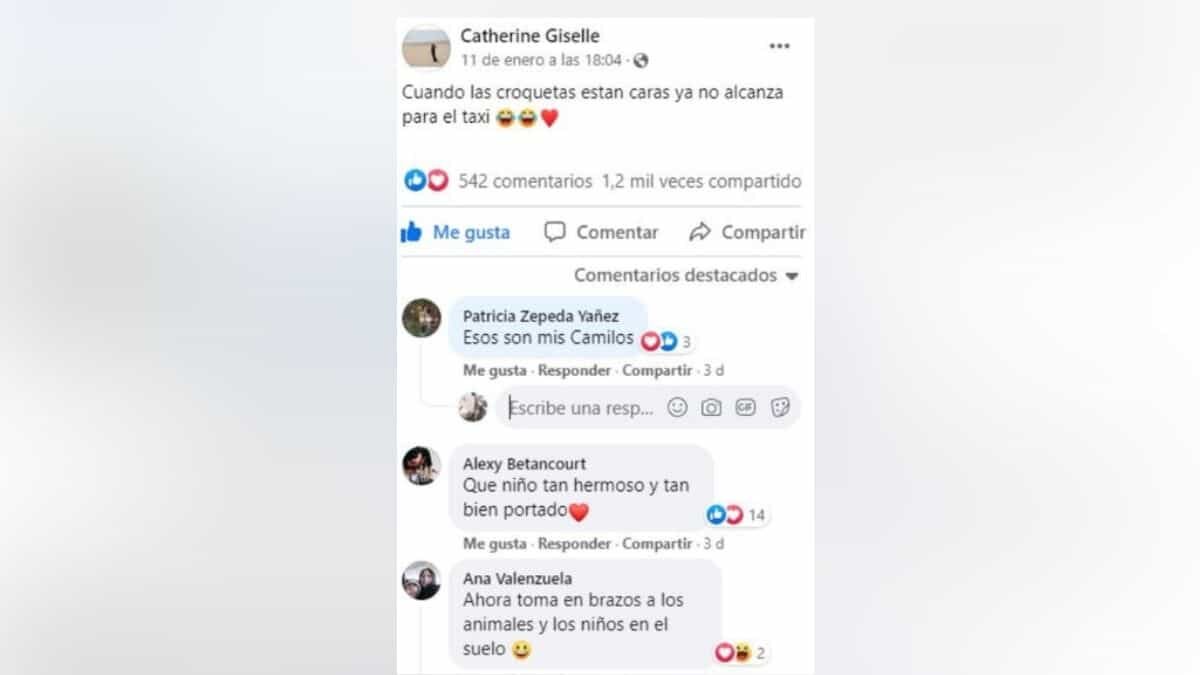 Enternece perrito al dormirse sobre brazos de señora