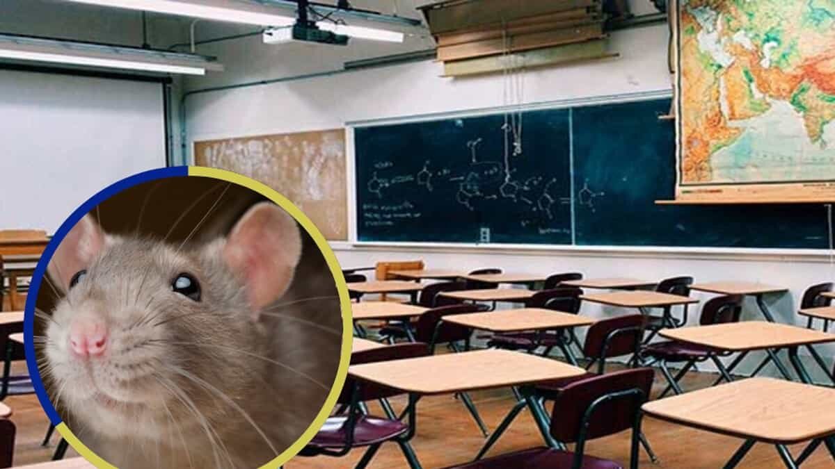 Salva rata a alumnos de presentar difícil examen (Video)