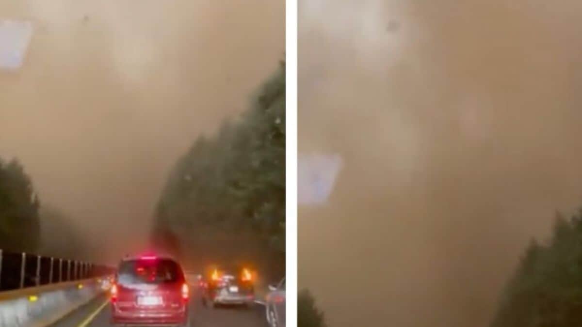 Azotan polvos del Sahara gran parte de México (Video)