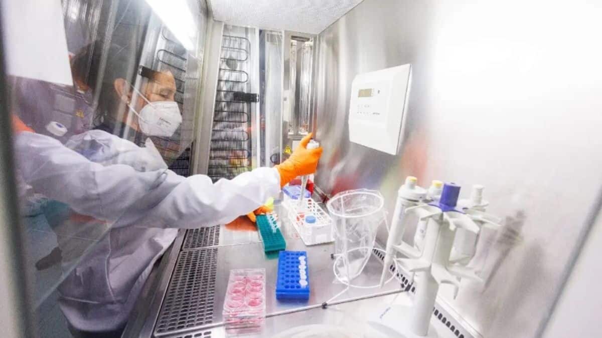 Confirman más de 200 casos de viruela del mono