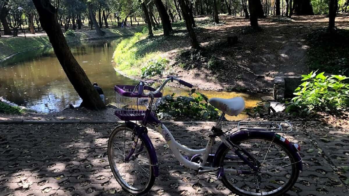 Conoce las actividades que tiene la UNAM por el Día Mundial de la Bicicleta