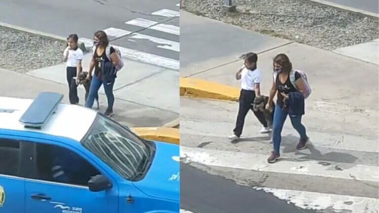 Perrito Calle