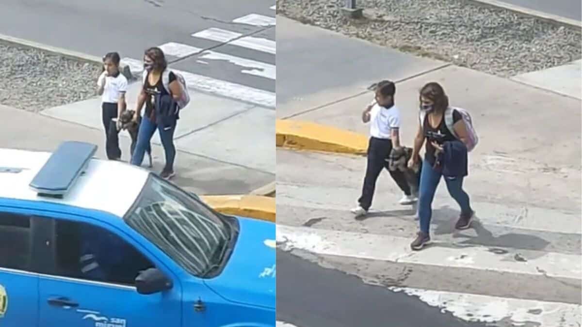 Ayudan a perrito a cruzar una calle y ¡estallan las redes! (video)